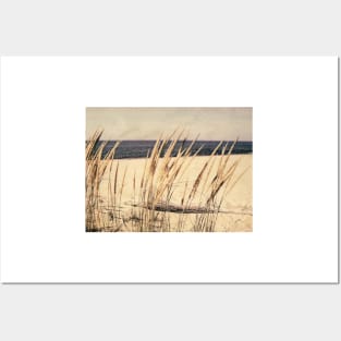 Dune Grass Posters and Art